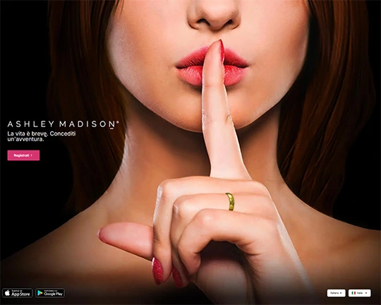 Ashley Madison Logo